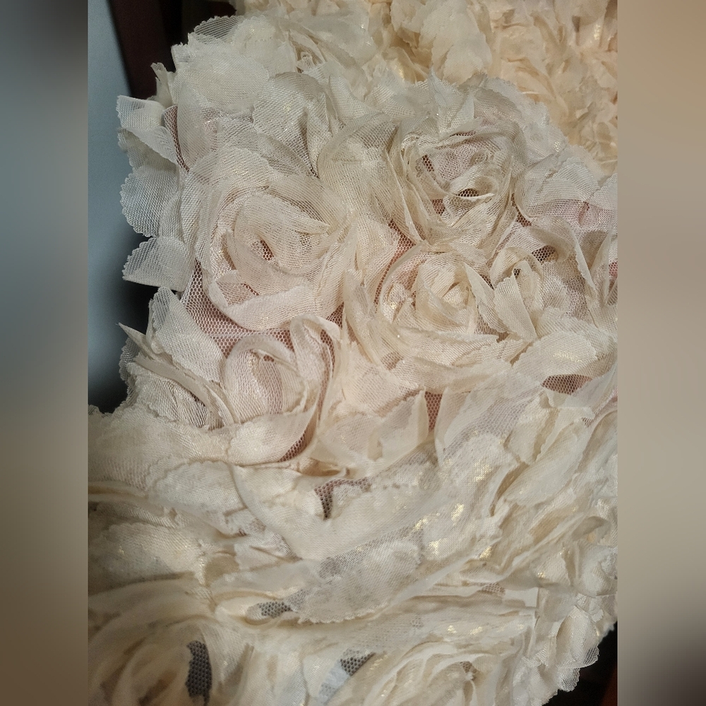Flower Girl Dress, Roses Gold  ,  PartyDres size 8 - Picture 12 of 14